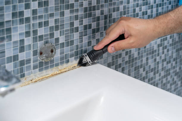 Best Residential Mold Removal  in Lakewood, OH
