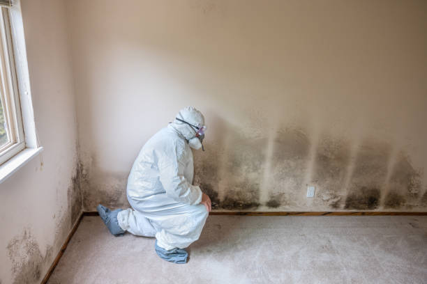 Best Crawl Space Mold Removal  in Lakewood, OH